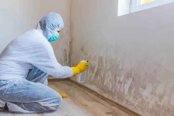 Licensed Commercial Mold Remediation service in Salisbury, NC - WQB Mold Removal
