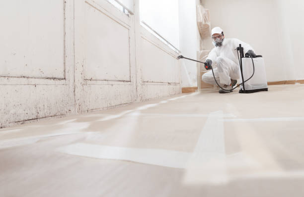 24/7 Emergency Commercial Mold Remediation experts in Salisbury, NC