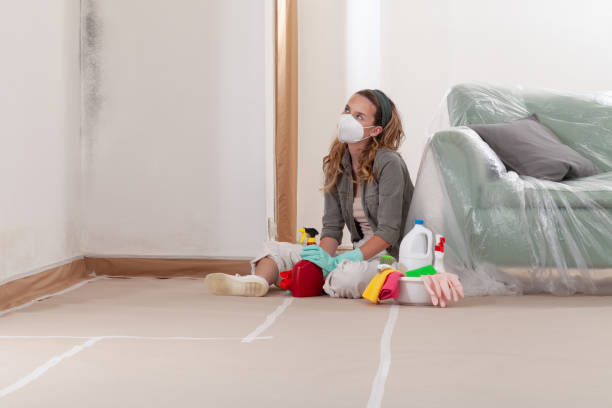 Reliable Commercial Mold Remediation contractor in Salisbury, NC by WQB Mold Removal