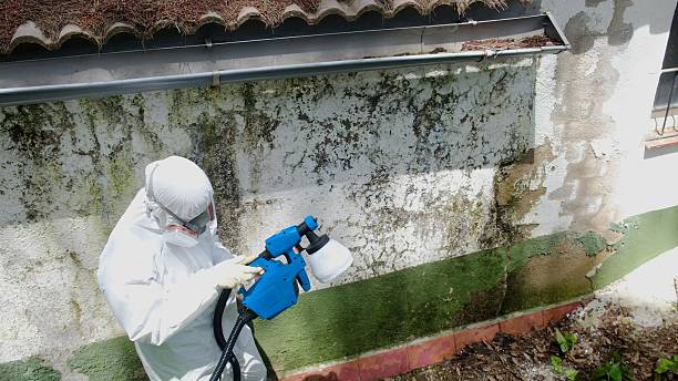 Top rated local Commercial Mold Remediation specialists in Salisbury, NC